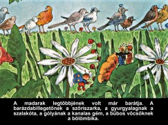 Lzr Ervin - Marton Magda - A nagyravgy feketerig - Diafilm