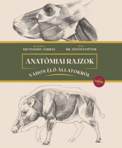 Stonyi Pter - Anatmiai rajzok vadon l llatokrl - Eurpa